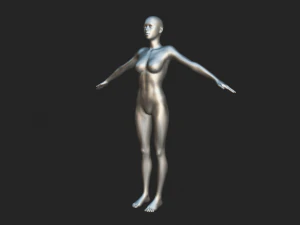 Embodiment of Realism Realistic Female Figure Base Mesh 3D Model