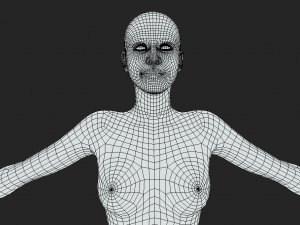 Embodiment of Realism Realistic Female Figure Base Mesh 3D Модель
