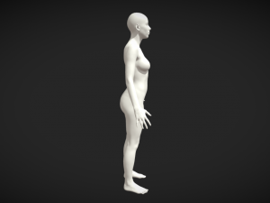 Elevate Your Artistry High-Quality Realistic Women Body Base Mesh Modèle 3D