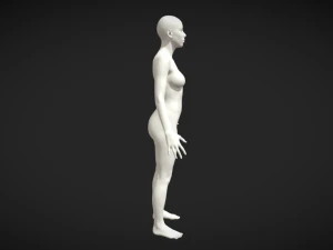 Eleva tu arte Malla de base corporal realista de alta calidad para mujeres Modelo 3D