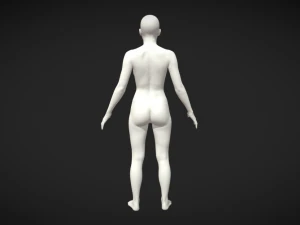 Eleva tu arte Malla de base corporal realista de alta calidad para mujeres Modelo 3D