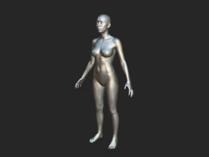 Eleva tu arte Malla de base corporal realista de alta calidad para mujeres Modelo 3D