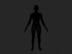 Elevate Your Artistry High-Quality Realistic Women Body Base Mesh Modèle 3D