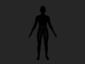 Eleva tu arte Malla de base corporal realista de alta calidad para mujeres Modelo 3D