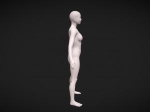Unveiling Intricate Beauty Detailed Women Body Base Mesh 3D Модель