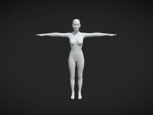 Foundation of Feminine Form Base de corps pour femme en maille en T-Pose Modèle 3D