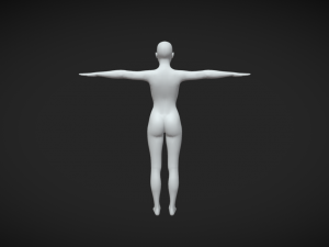 Foundation of Feminine Form Women Body Base Mesh in T-Pose Modèle 3D