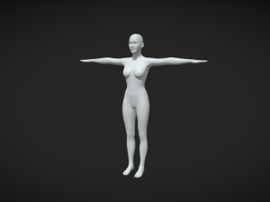 Foundation of Feminine Form Women Body Base Mesh in T-Pose Modèle 3D