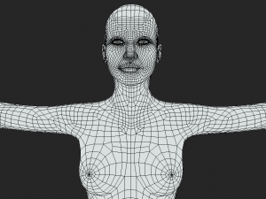 Foundation of Feminine Form Women Body Base Mesh in T-Pose Modèle 3D