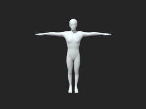 Anatomy of Strength Male Body Base Mesh in T-Pose 3D Model