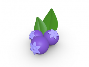 Savor the Sweetness Blueberry 3D Model