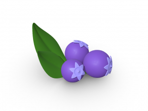 Savor the Sweetness Blueberry 3D Модель