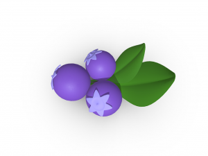 Savor the Sweetness Blueberry 3D Модель
