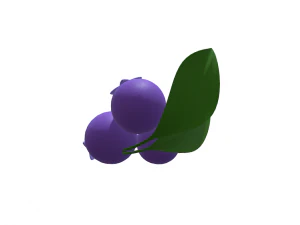 Savor the Sweetness Blueberry 3D Model