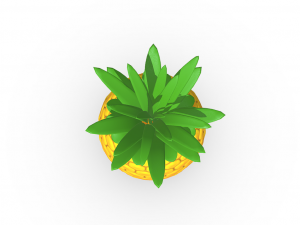 Tropical Delight Pineapple Model 3D