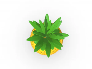 Tropical Delight Pineapple 3D Model