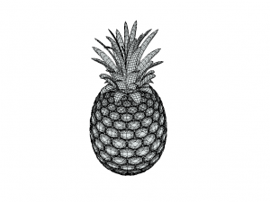 Tropical Delight Pineapple Model 3D