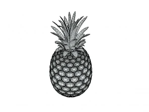 Tropical Delight Pineapple 3D Model