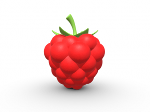 Exquisite Elegance Raspberry 3D Model