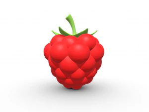 Prachtige elegantie framboos 3D Model