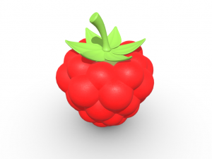 Exquisite Elegance Raspberry Model 3D