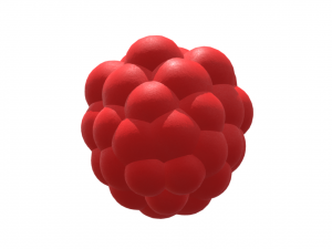 Exquisite Elegance Raspberry Model 3D