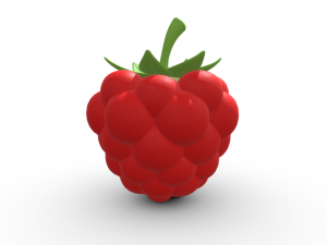 Exquisite Elegance Raspberry Model 3D