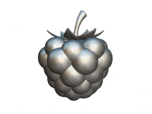 Exquisite Elegance Raspberry 3D Model