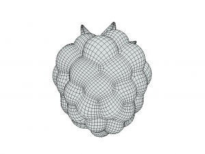 Exquisite Elegance Raspberry Model 3D