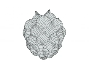 Exquisite Elegance Raspberry 3D Model