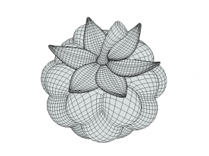 Exquisite Elegance Raspberry Model 3D