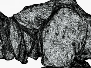 Est&aacute;tua da Majestosa For&ccedil;a Le Rhinoceros Modelo 3D