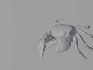 Realistic Sea Crab 3D Model