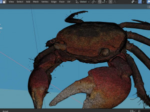 Realistic Sea Crab Modèle 3D