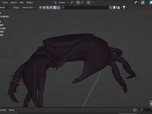 Realistic Sea Crab Modèle 3D