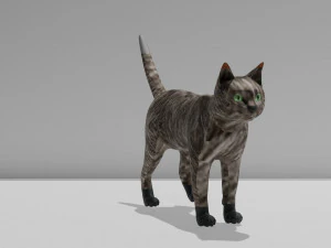 Gato de baixo poli Modelo 3D