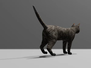 Low-poly cat 3D Model