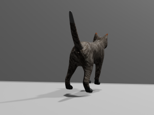 Low-poly cat 3D 모델