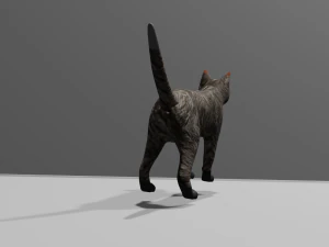 Low-poly cat 3D Model