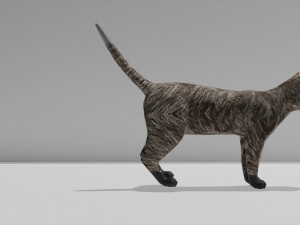 Low-poly cat 3D 모델