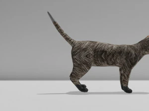 Low-poly cat 3D Model