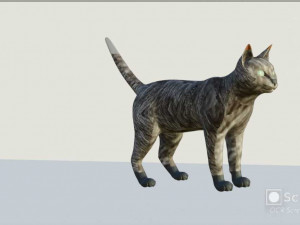 Low-poly cat 3D 모델