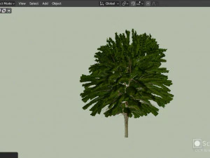 Albero di acero con foglie verdi Modello 3D