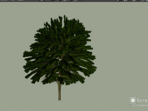 Maple Tree with green leaves 3D Модель