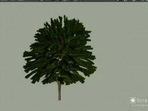 Maple Tree with green leaves 3D Model