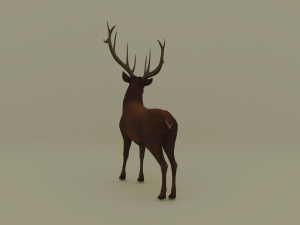 American deer realistic model 3D 모델