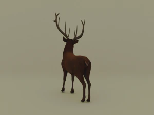 American deer realistic model 3D Model