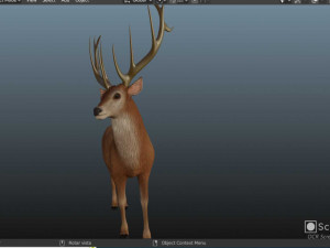 American deer realistic model 3D 모델