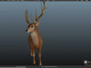 American deer realistic model 3D Model