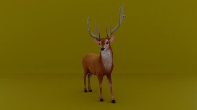 American deer realistic model 3D 모델 .c4d .max .obj .3ds .fbx .stl .blend 